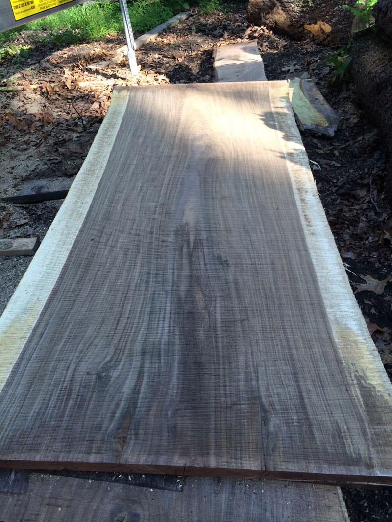 Wood Slab Black Walnut