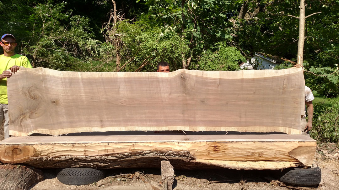 Wood Slab Butternut