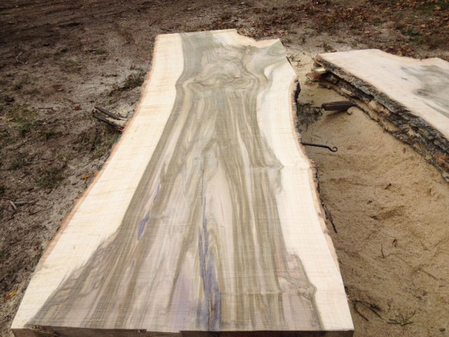 Wood Slab Tulip Poplar