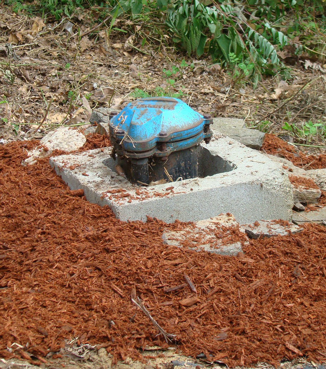 Garden Accents