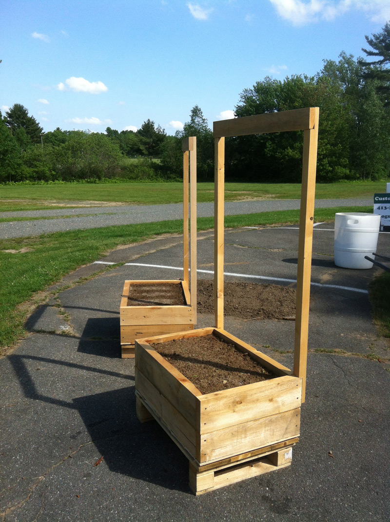 6 x 8 Salt Box